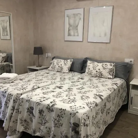Centro Apartment Niebla